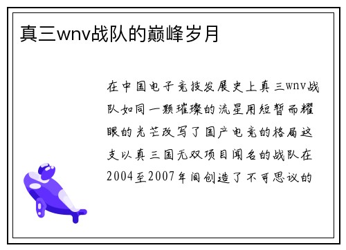 真三wnv战队的巅峰岁月